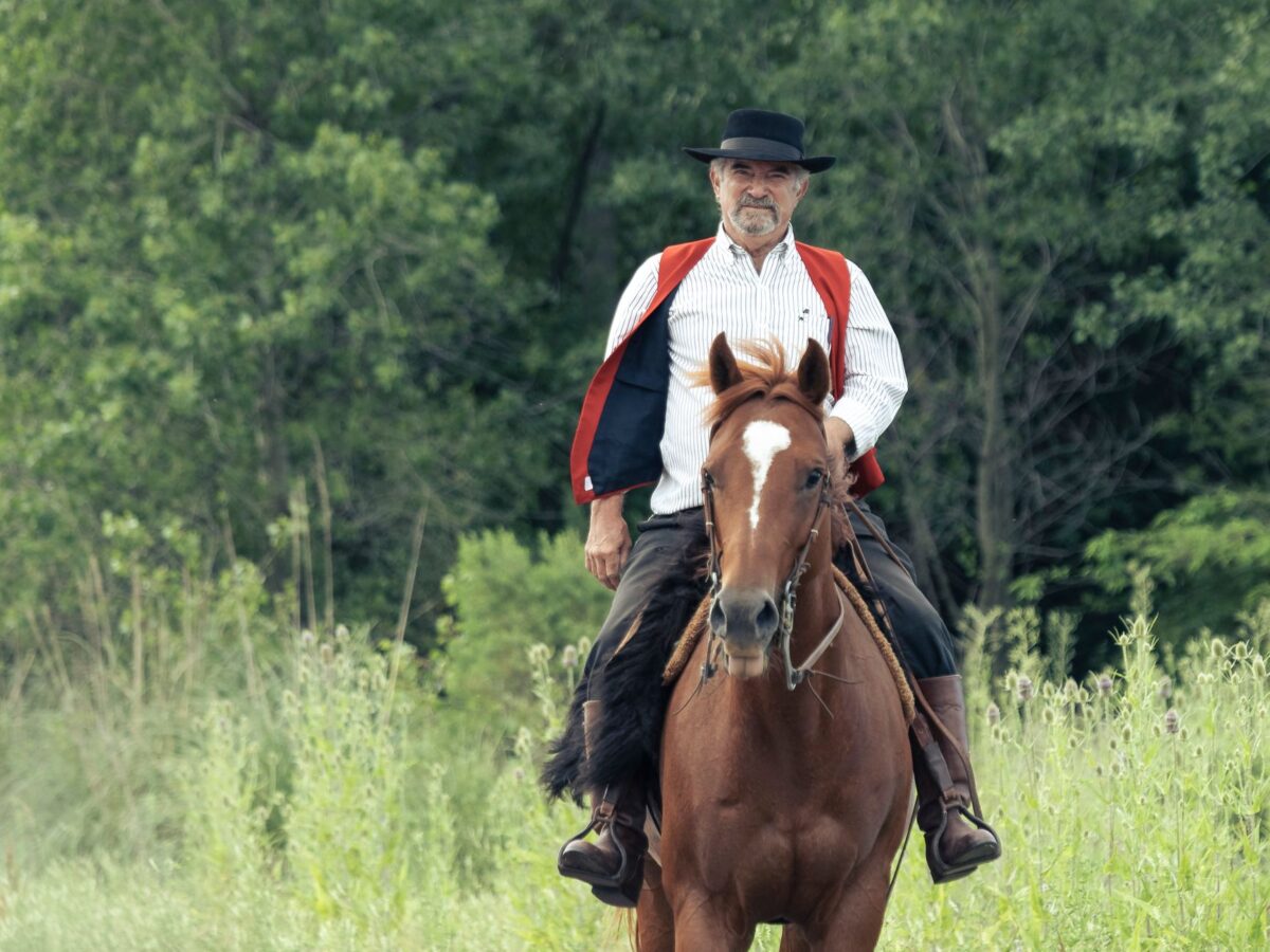 mafia old country passage free ride